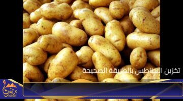 تخزين البطاطس بالطريقة الصحيحة.jpg