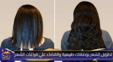 تطويل الشعر بوصفات طبيعية