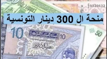 تقديم طلب منحة 300 دينار تونسي