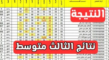 رابط استعلام نتائج الثالث متوسط دور ثالث 2024