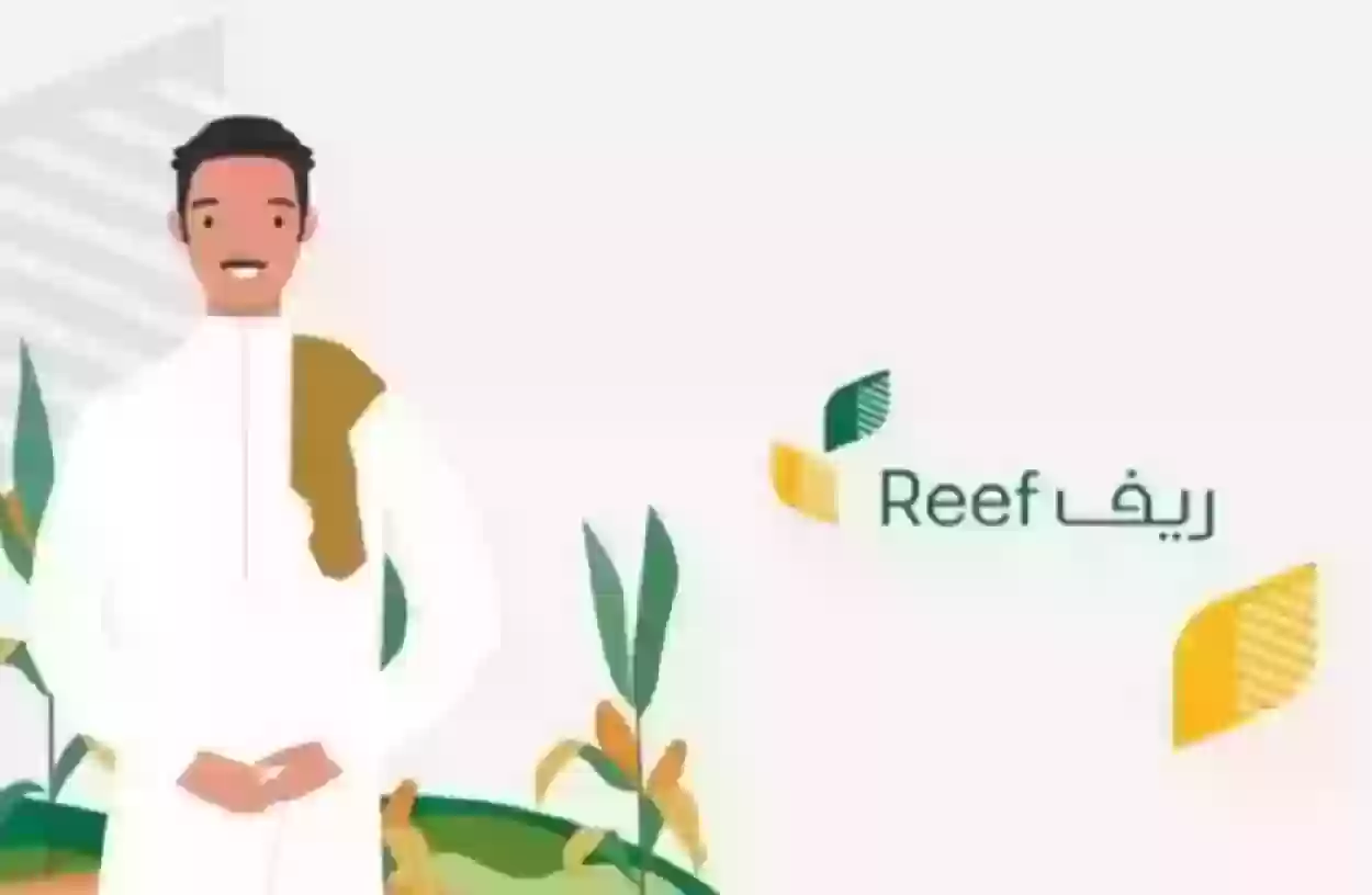 شروط القبول .. خطوات الاستعلام عن دعم ريف 1446 برقم الهوية reef.gov.sa برابط رسمي