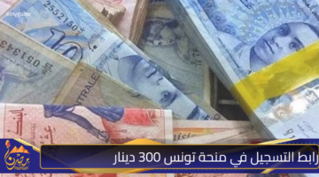 رابط التسجيل في منحة تونس 300 دينار.jpg