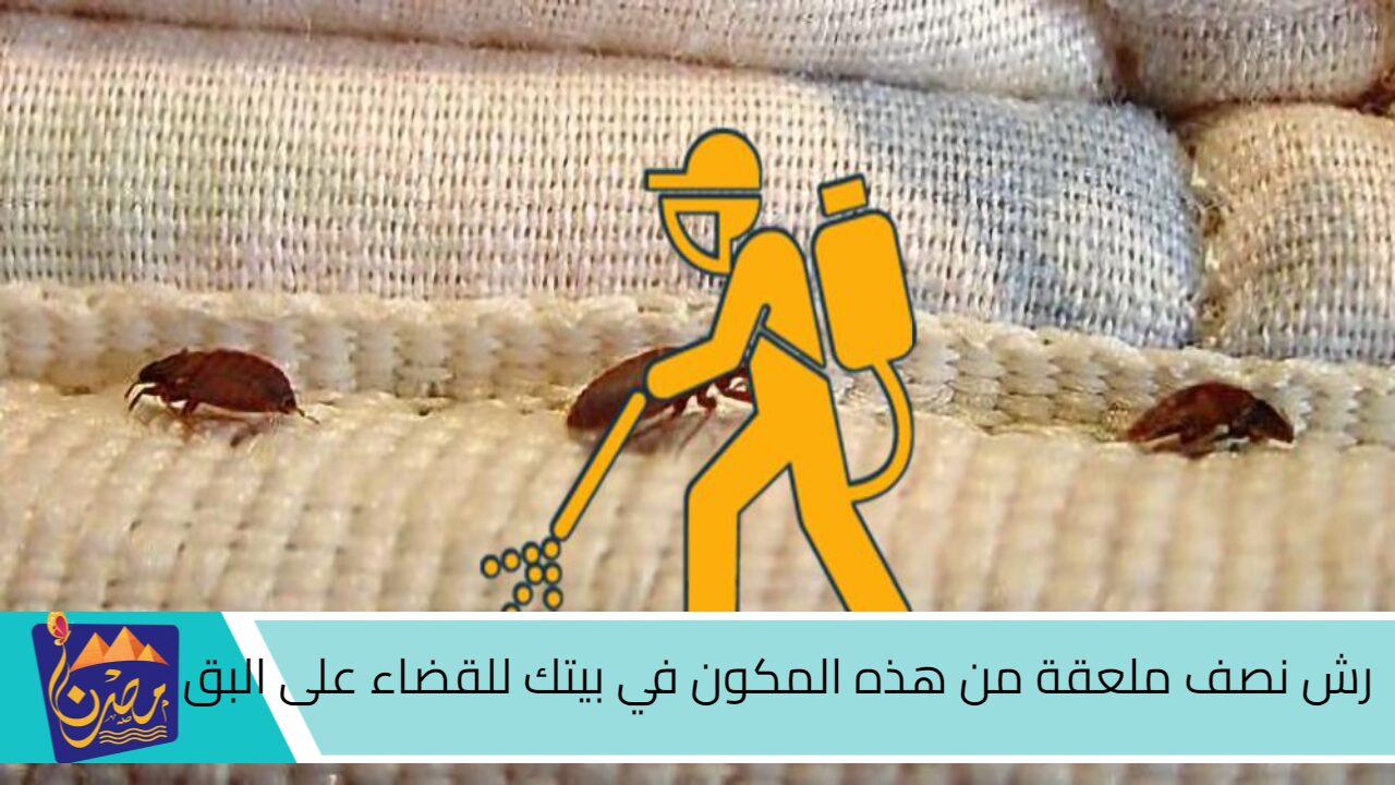 فكرة جهنمية هتقضي عليه.. رش نصف ملعقة من هذه المكون في بيتك للقضاء على البق والحشرات نهائيًا… “خرجهم بره فورا”