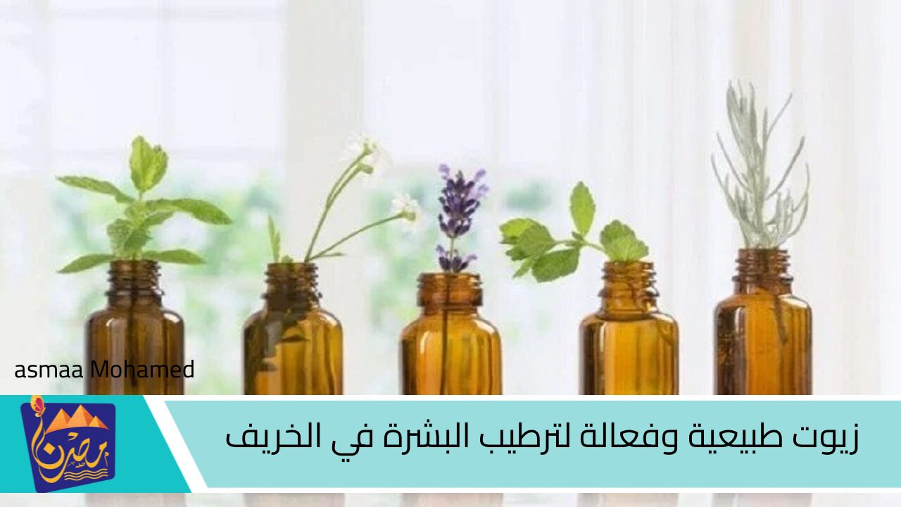 بديل مستحضرات التجميل والكريمات .. زيوت طبيعية وفعالة لترطيب البشرة في الخريف