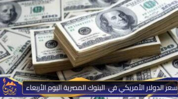 سعر الدولار الأمريكي في البنوك المصرية اليوم الأربعاء .jpg