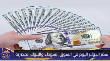 سعر الدولار اليوم في السوق السوداء والبنوك المصرية