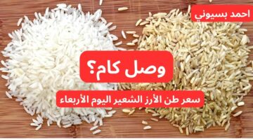 سعر طن الأرز الشعير اليوم الأربعاء 23 أكتوبر 2024