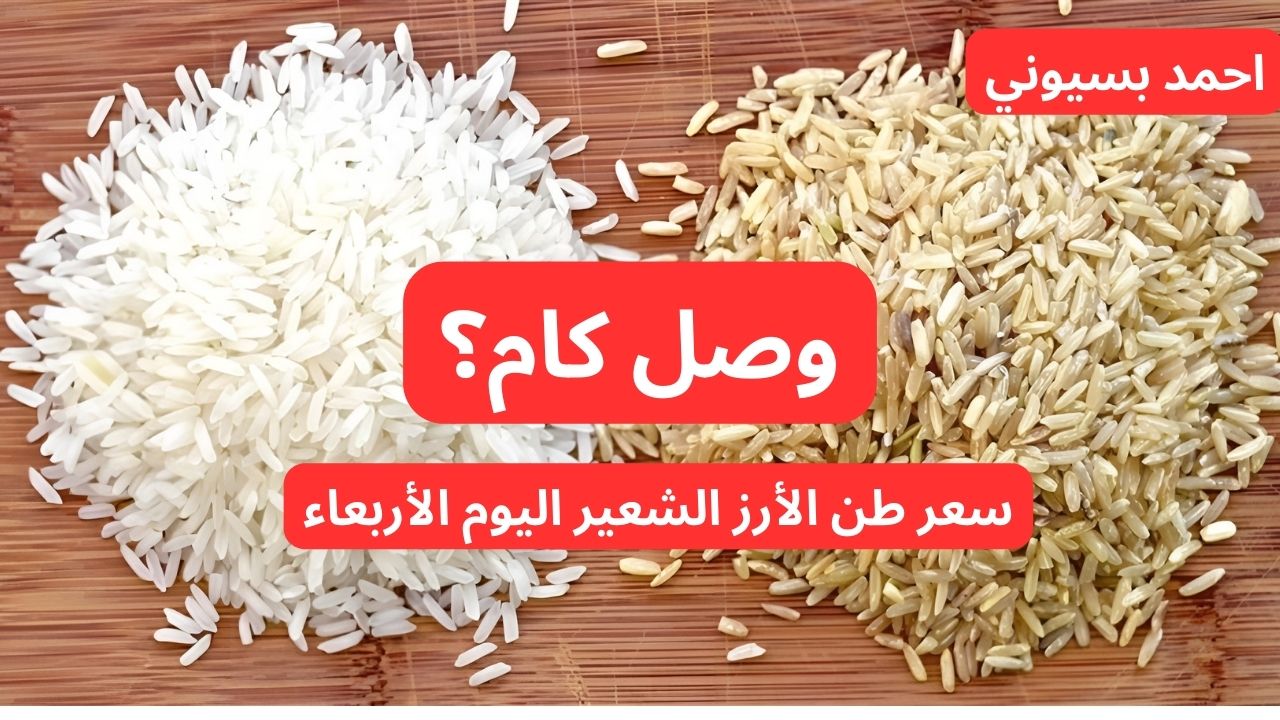 “الرفيعه والعريضة”.. سعر طن الأرز الشعير اليوم الأربعاء 23 أكتوبر 2024.. أسعار السلع التموينية أكتوبر