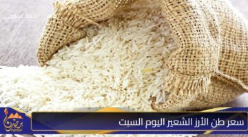 سعر طن الأرز الشعير اليوم السبت