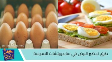 طرق تحضير البيض في ساندويتشات المدرسة