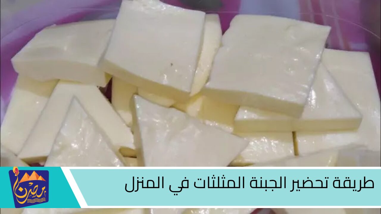 بكوب حليب مع كمية دقيق.. طريقة تحضير الجبنة المثلثات في المنزل بأسهل الطرق على أصولها طبيعية ومضمونة واحلى من الجاهزة وأعملي ألذ ساندوتشات المدارس