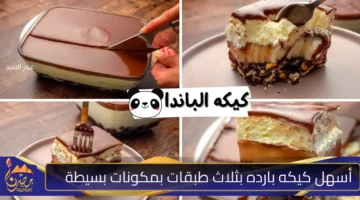 طريقة تحضير كيكة الباندا الباردة