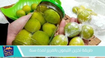 طريقة تخزين الليمون بالفريزر لمدة سنة .jpg