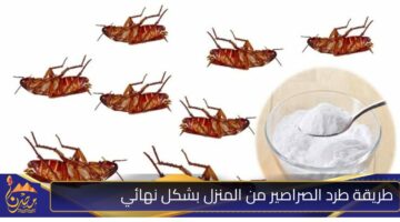 طريقة طرد الصراصير من المنزل بشكل نهائي.jpg 2