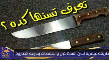 طريقة عبقرية لسن السكاكين والمقصات بسرعة الصاروخ