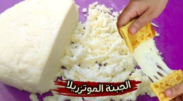 طريقة عمل الجبنة الموزاريلا في البيت