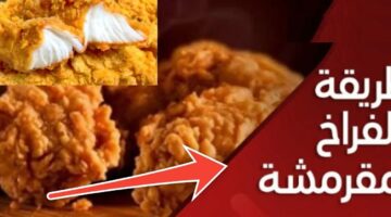 طريقة عمل فراخ كنتاكي