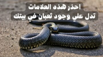 علامات تدل على وجود ثعبان في المنزل