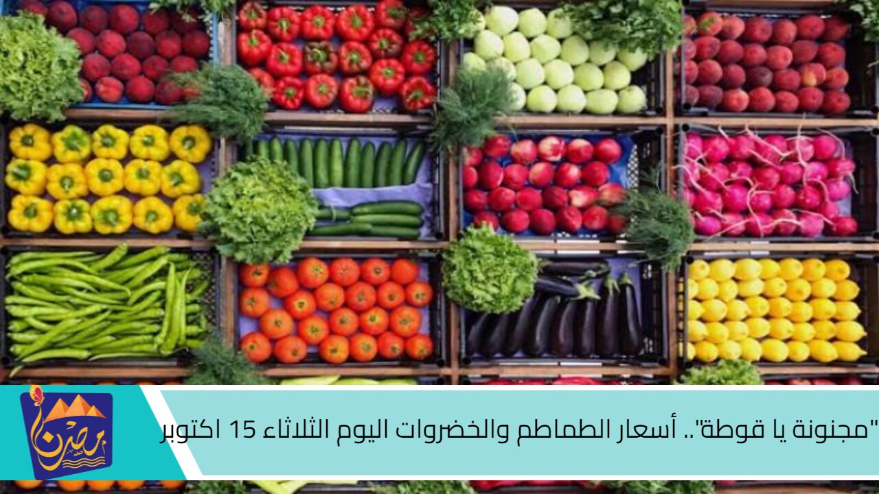 “مجنونة يا قوطة”.. أسعار الطماطم والخضروات اليوم الثلاثاء 15 اكتوبر 2024 في جميع الأسواق.. البصل مولعها!!