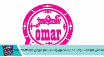 محدش هيعملك بلوك. مميزات تطبيق واتساب عمر الوردي OB2 WhatsApp