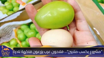 مشروع يكسب ملايين . فلاحون عرب يزرعون فاكهة نادرة