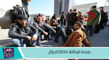 منحة البطالة 2024 الجزائر