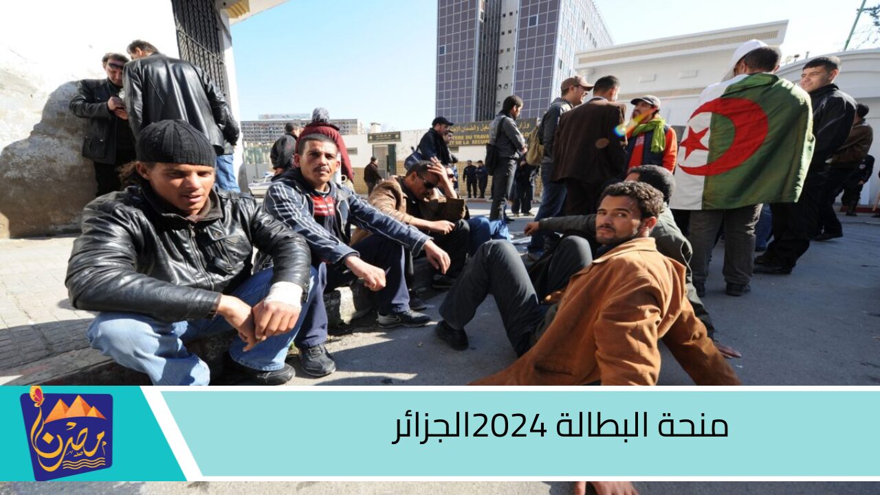 رابط التسجيل في منحة البطالة 2024 عبر موقع الوكالة الوطنية للتشغيل anem.dz