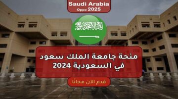 منحة جامعة الملك سعود 1