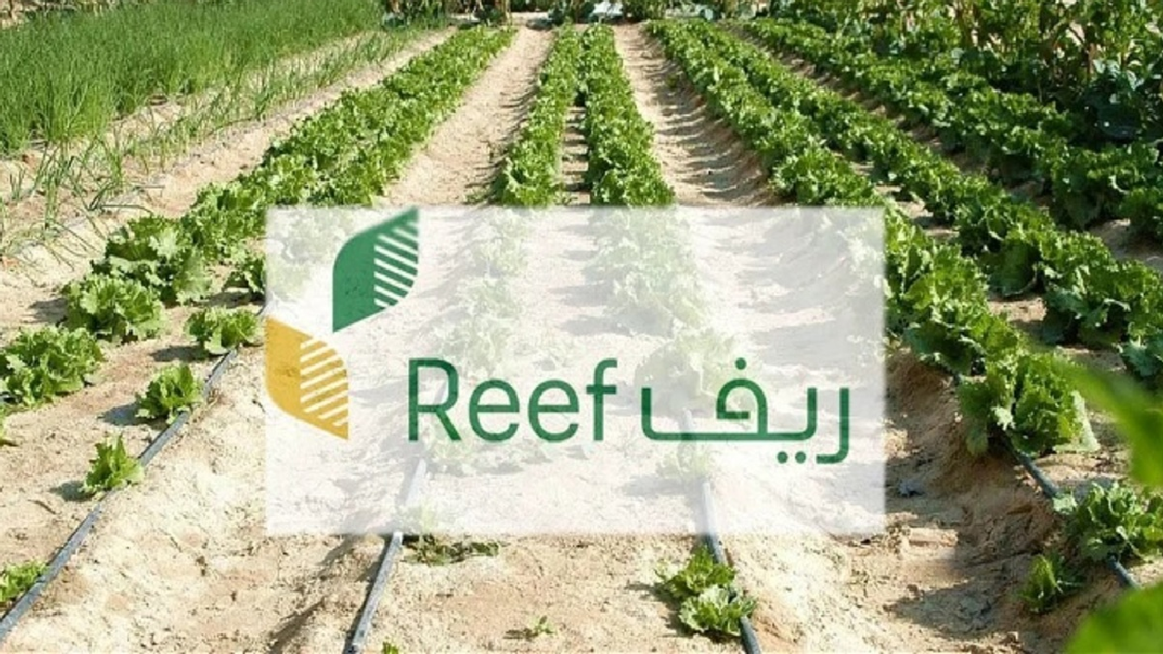 الفئات المستحقة.. التسجيل في دعم ريف بالمملكة العربية السعودية