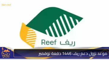 موعد نزول دعم ريف 1446 دفعة نوفمبر