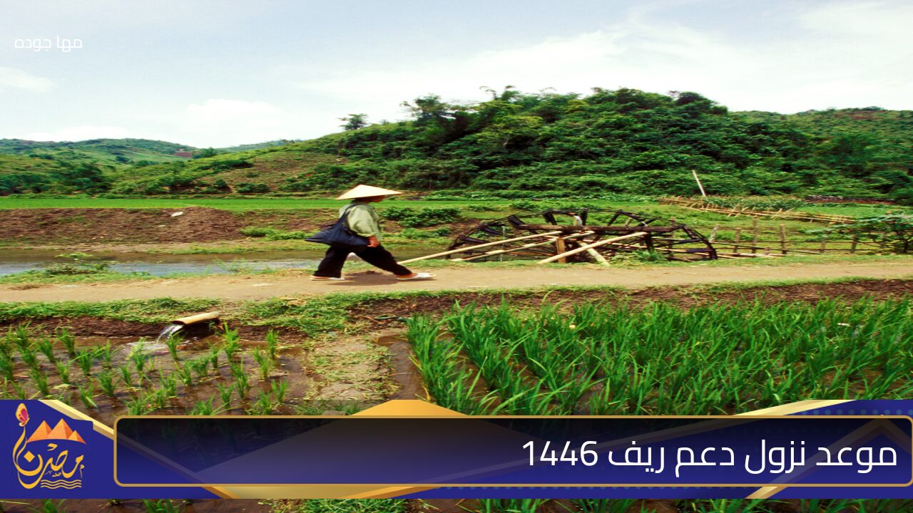 موعد نزول دعم ريف 1446.. فرصتك الذهبية للحصول على دعم مالي يعزز نجاح مشروعاتك الزراعية بسهولة”