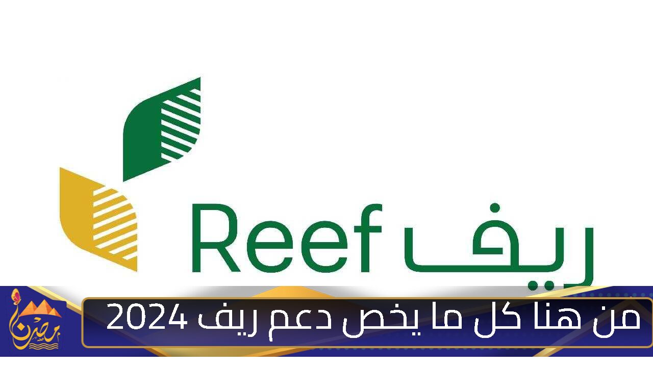 “عبر reef.gov.sa”.. تعرف على موعد نزول دعم ريف لشهر نوفمبر 2024 | الشروط  وكيفية التسجيل بالتفصيل