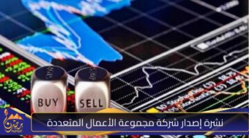 نشرة إصدار شركة مجموعة الأعمال المتعددة