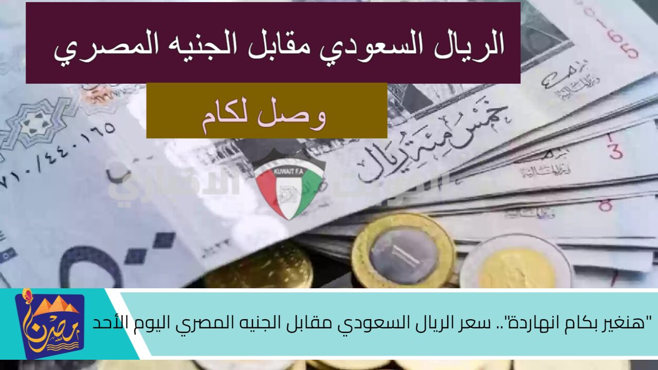 “هنغير بكام انهاردة”.. سعر الريال السعودي مقابل الجنيه المصري اليوم الأحد 13 أكتوبر 2024 في جميع البنوك|| “بيع وشراء”