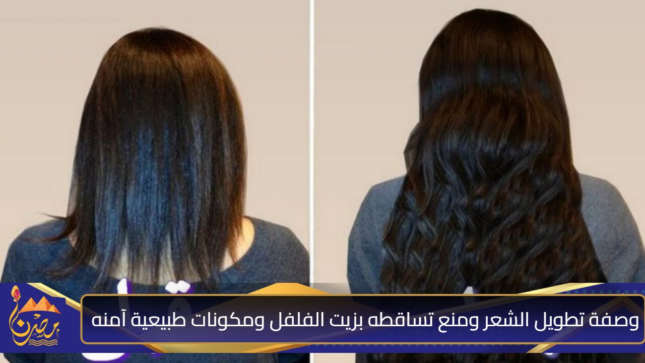 هيطول لحد آخر ظهرك”.. وصفة تطويل الشعر ومنع تساقطه بزيت الفلفل ومكونات طبيعية آمنه