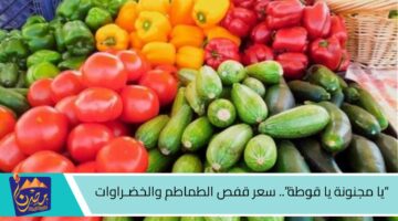 يا مجنونة يا قوطة. سعر قفص الطماطم والخضـراوات