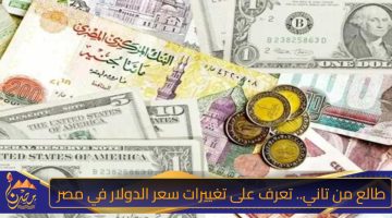 طالع من تاني. تعرف على تغييرات سعر الدولار في مصر