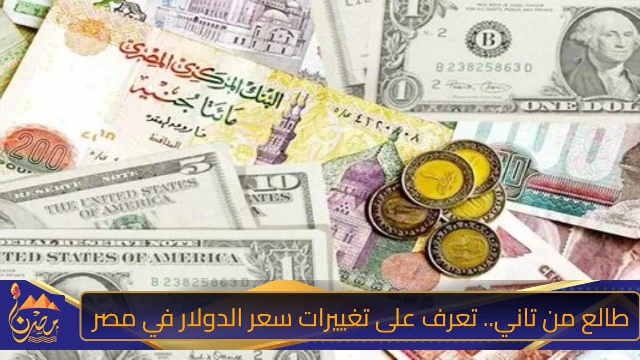 طالع من تاني.. تعرف على تغييرات سعر الدولار في مصر اليوم الإثنين 4 نوفمبر 2024