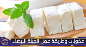 طريقة عمل الجبنة البيضاء