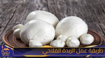 طريقة عمل الزبدة الفلاحي .jpg 1